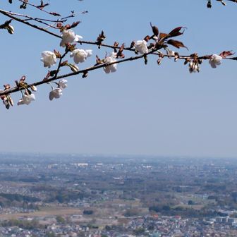 幕山の展望台から都心方面