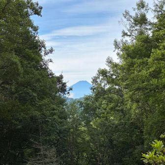 ひょっこり富士山🗻