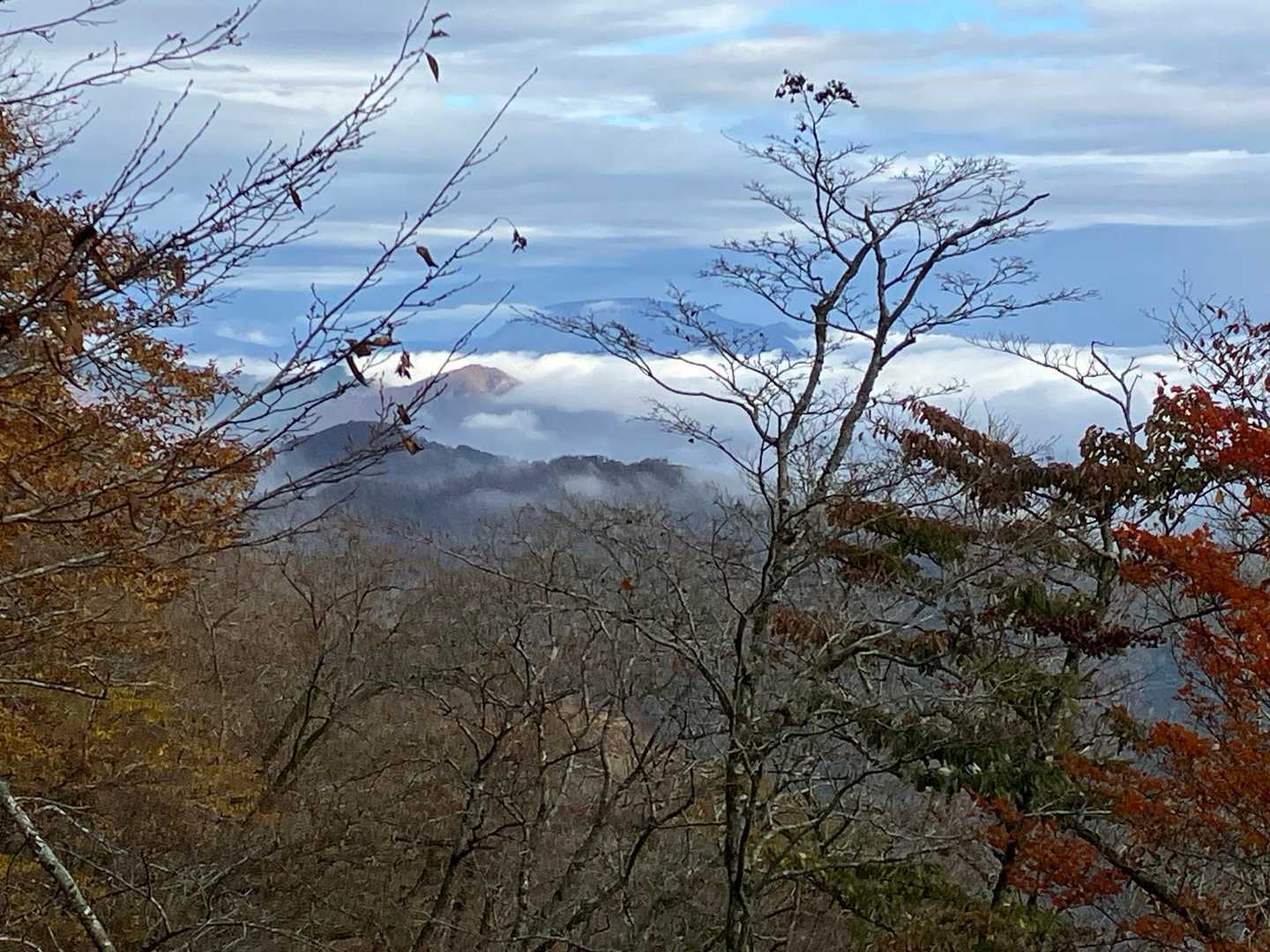 雲海に包まれた伊吹山