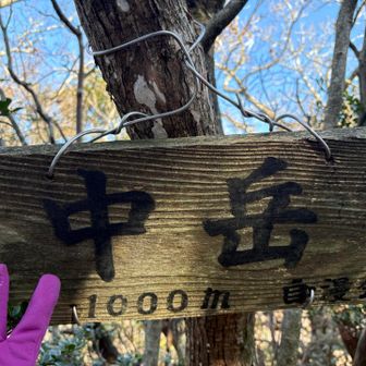 中岳　標高1,000m
はじめまして〜🤗