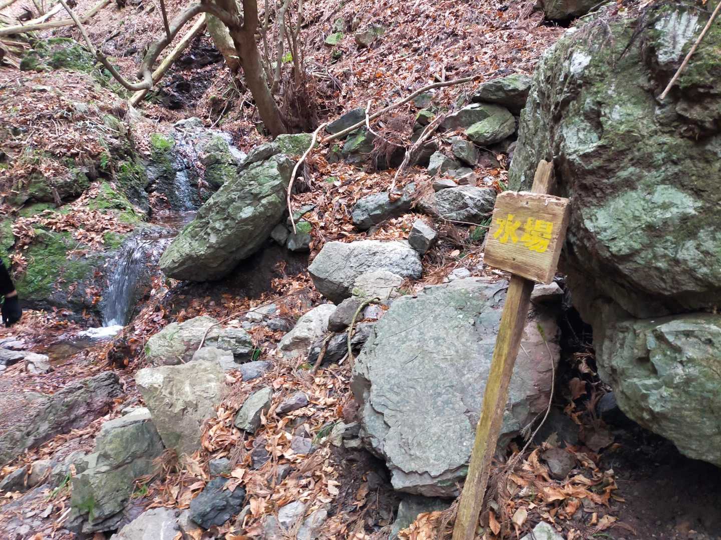水場。この少し上から湧いているようです