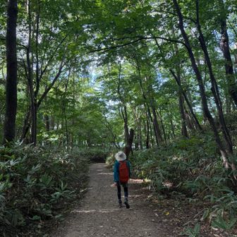 平日でもお盆のせいか。沢山の方とスライドしました。今日も良い山行でした😊