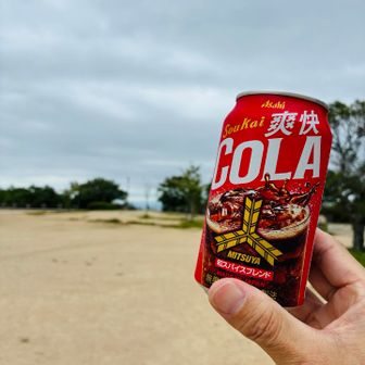 コーラ違いやけど美味い
和テイストらしい
知らんけど