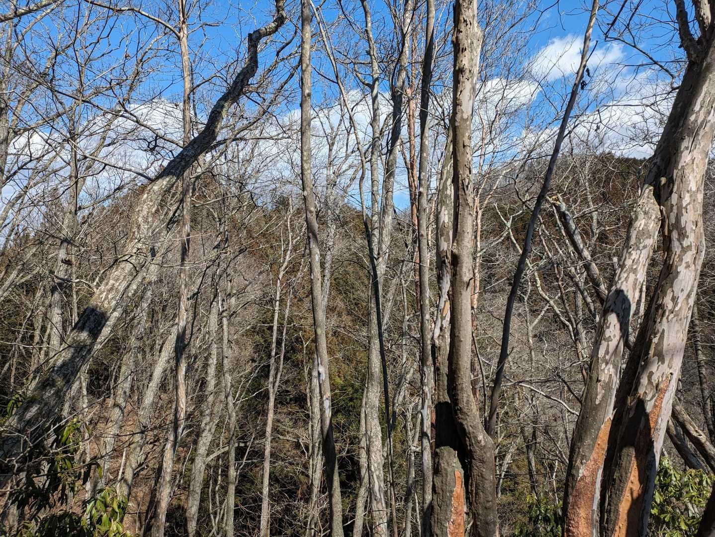 ９０７mピークからの塚山山頂を見上げる(右側のピーク)