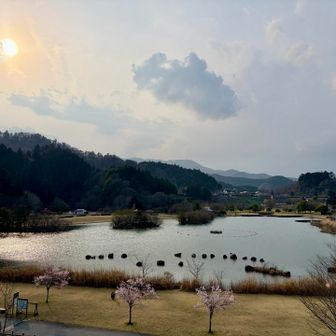 無事にゴール🏁
朝よりも桜が咲いてきていました🌸✨
今日もありがとうございました🙏😊