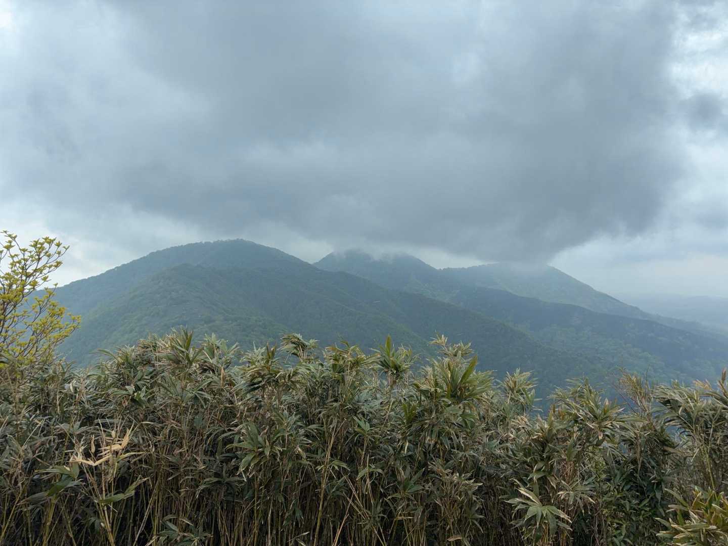 皆ヶ山方面