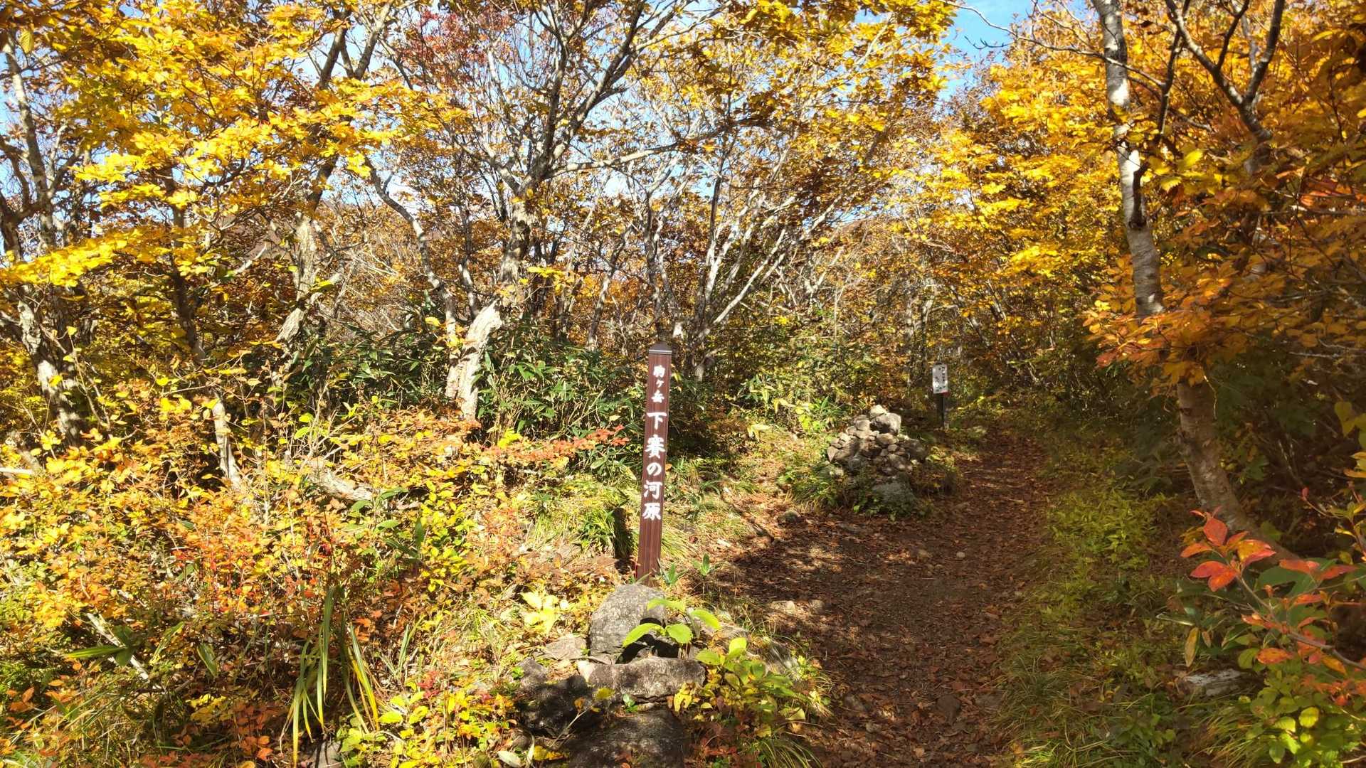うがい清水登山口-駒ヶ岳 往復コースの写真