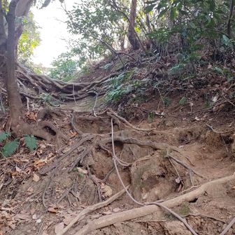 標高が低いけれど、鎖場があり楽しめます。