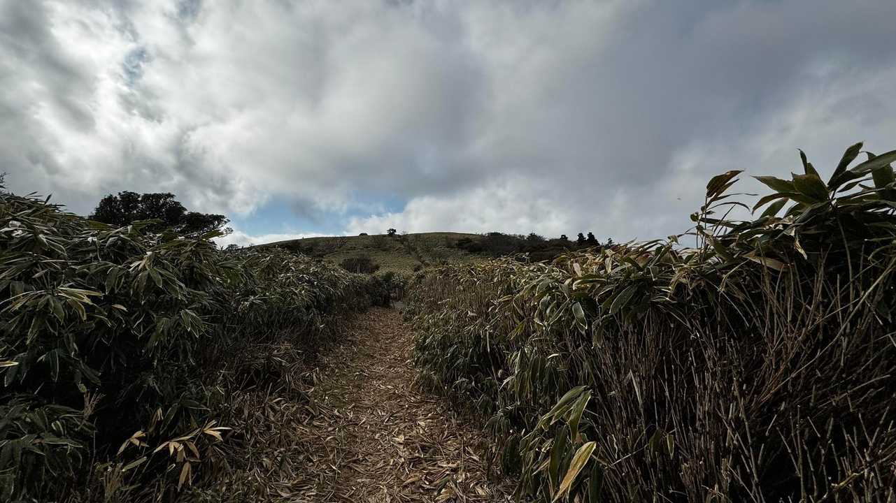伊豆山陵線トレイル（三蓋山・水呑頭・猫越岳・後藤山・魂の山・棚場山・伽藍山・古稀山・達磨山・小達磨山） の写真 36