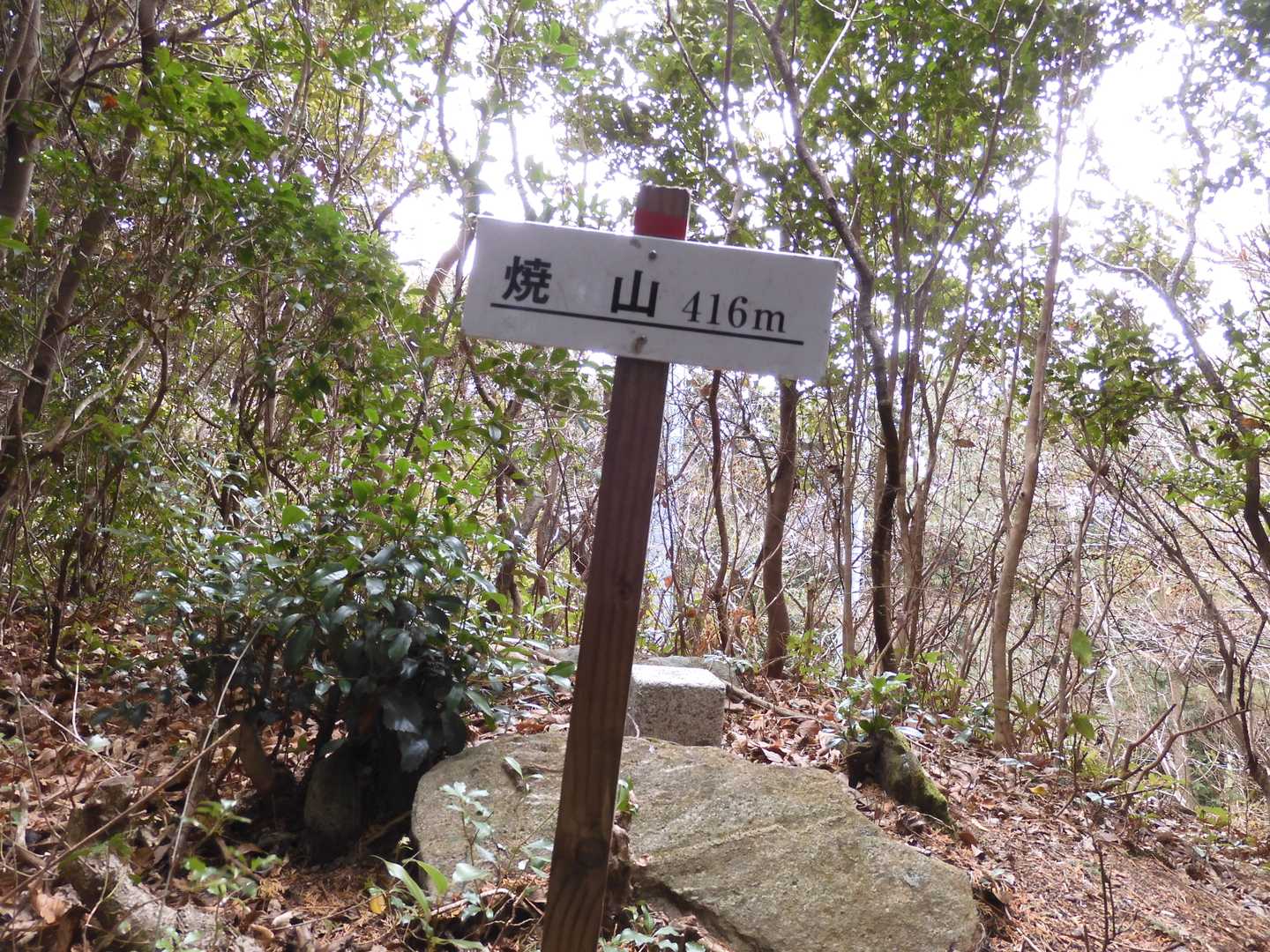 焼山（やけやま 416.4ｍ）山頂　
※眺望無し 
※「やけやま」はWikipediaより