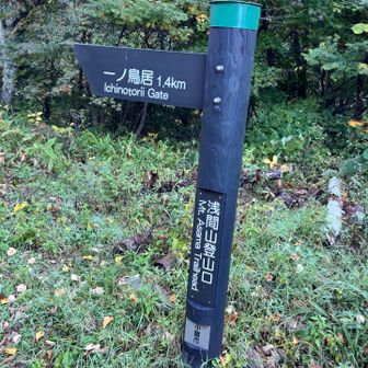 キレイな案内