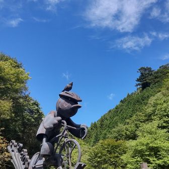 yoko ninomiya
