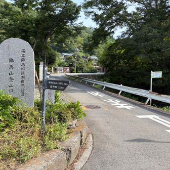 陣馬山登山口まで舗装道路をランニング。まだまだ元気やった。