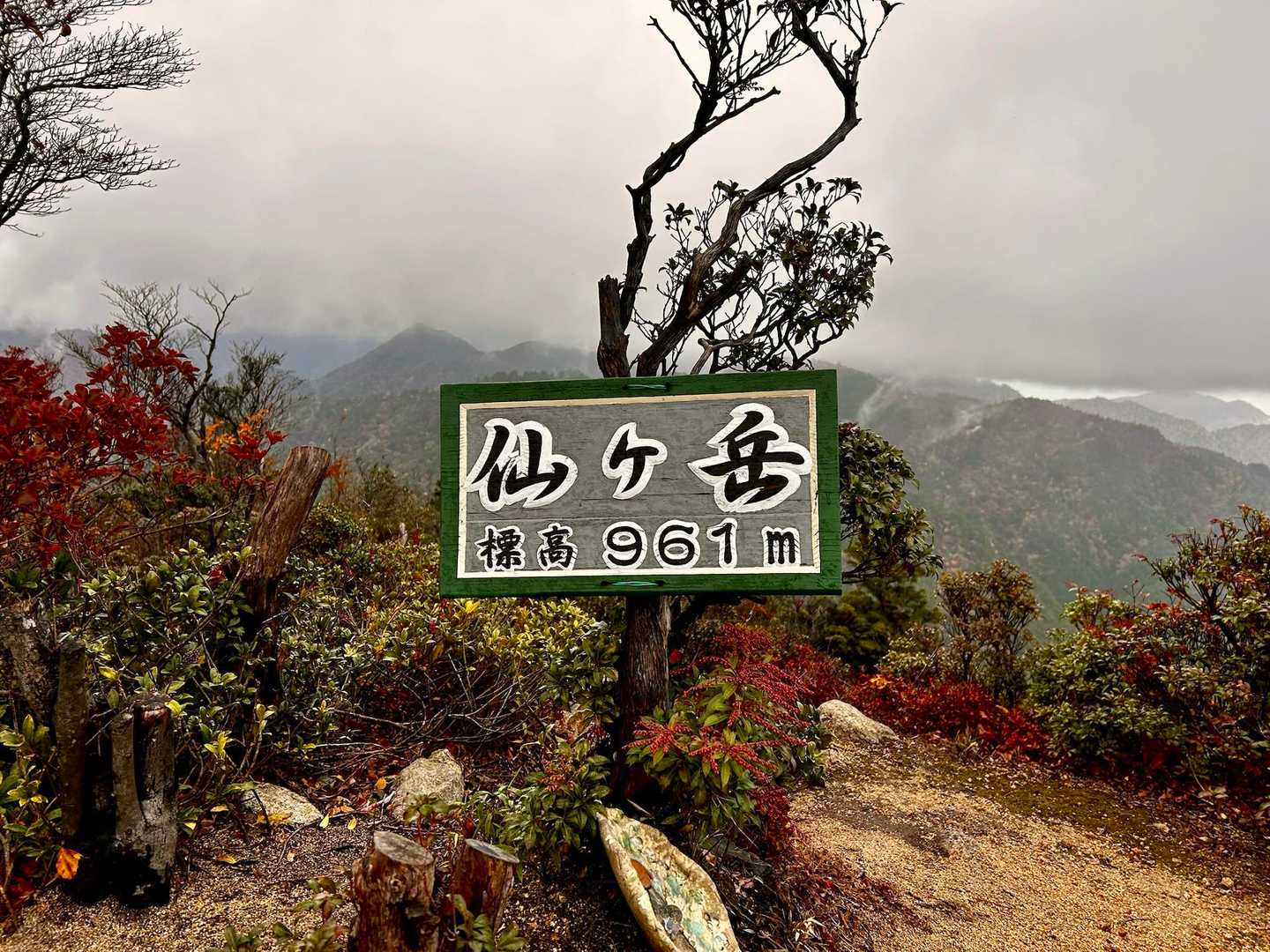 仙ヶ岳 往復コースの写真