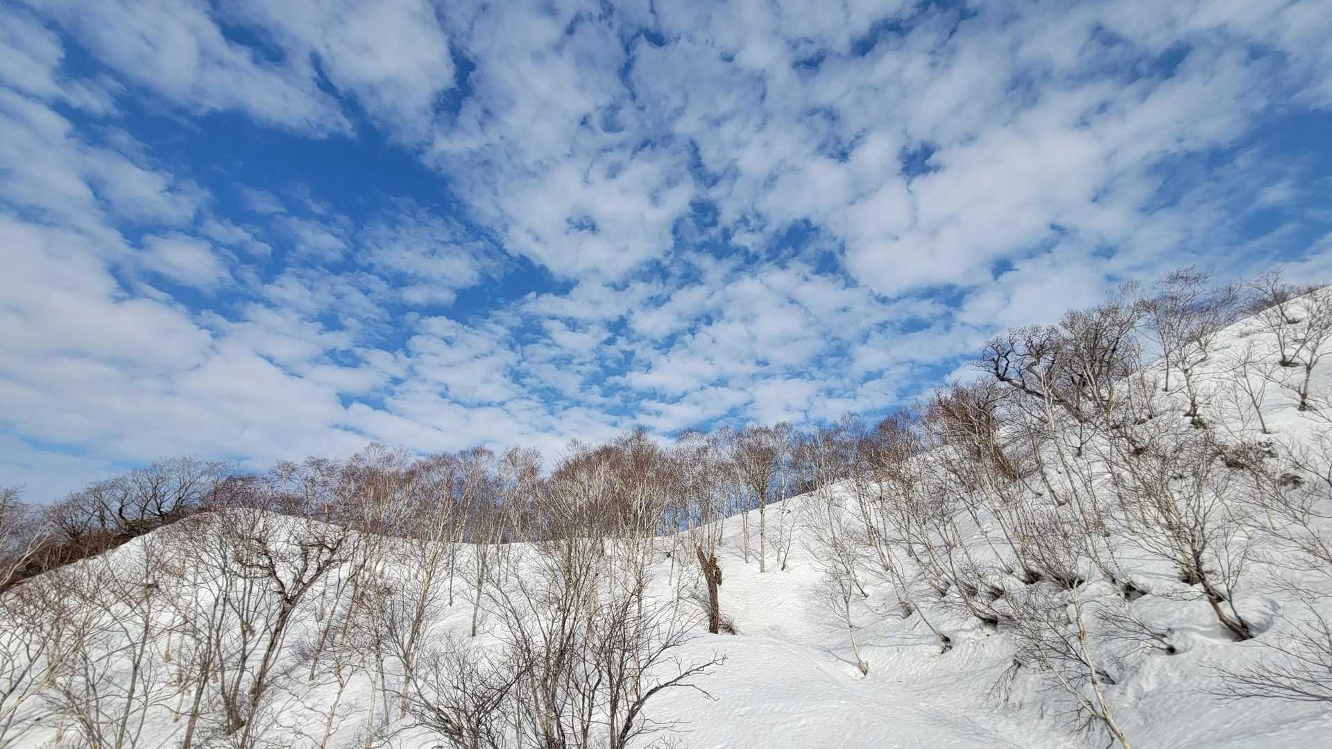 夏の登山口より