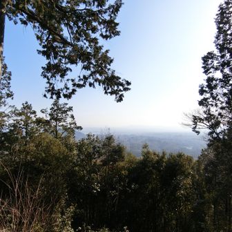 今日は黄砂で遠くが見えません