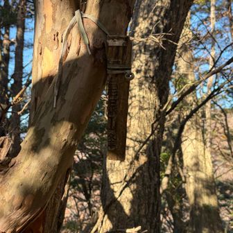 鋸尾根Ⅱ峰　ここへの登りも厳しい