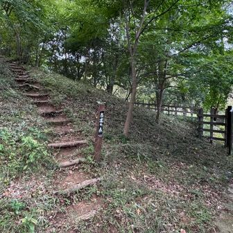 ルートはこの階段ではなく右の歩道へ
