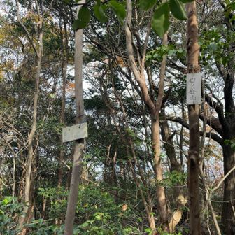 山頂まで軽いアップダウンと距離もそこそこありました