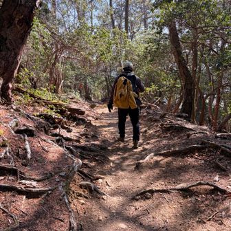 小屋からまだ5kmの道のり
幾度も休憩取りながら下山です
家で待つお留守番🐈‍⬛のもとへ帰るため
帰りも必死です💦

無事16時に下山
日没前に下山できてよかった☺️
明日はガク🐈‍⬛のお誕生日🎂
お祝いしないといけませんからねー
おつかれ山でした🏔️