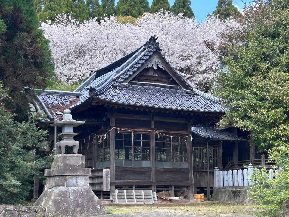 熊本市内の自宅から山鹿市方面へ行く際の抜 / yasuさんのモーメント