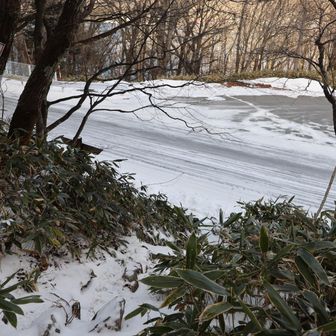 登山口に出てくる