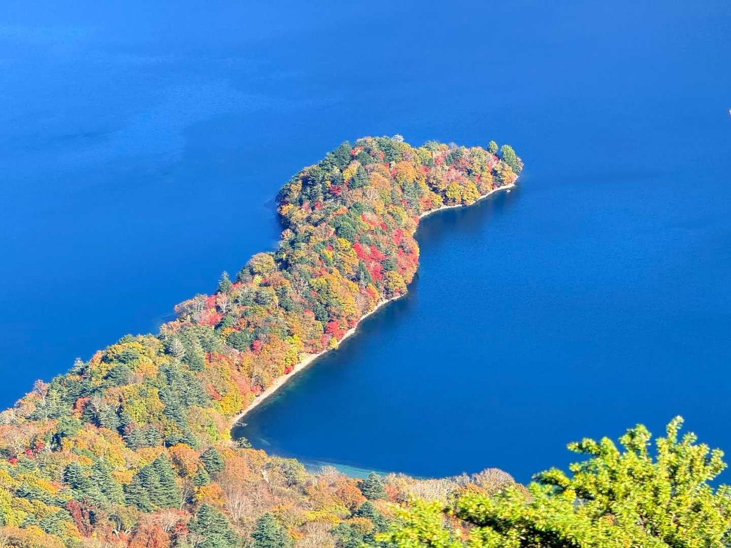 半月山駐車場発着｜半月山 往復コースの写真