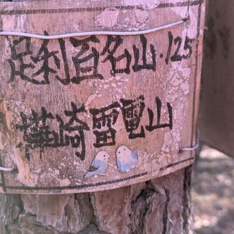 両崖山・仙人ヶ岳・石尊山 足百No125
⛰️樺崎雷電山