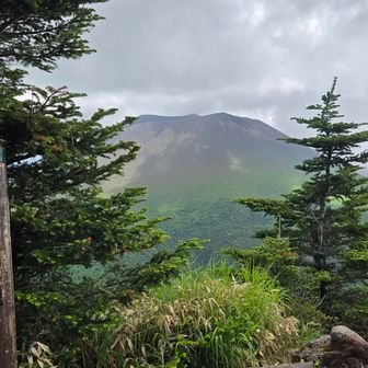 黒斑山から。この稜線はずっとこれが見られる。