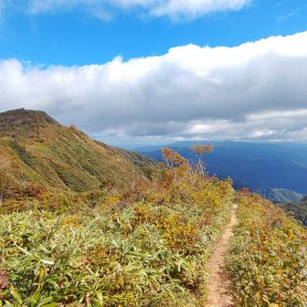 巻岩山山頂通過していた
疣岩山が観えた