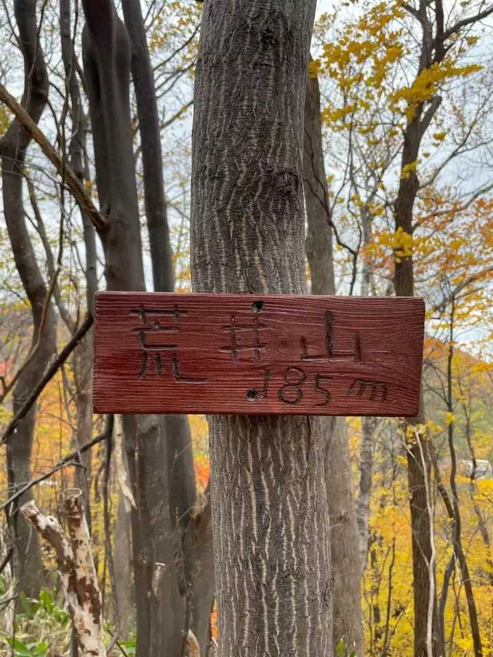 荒井山の写真