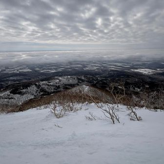 根釧大地は、広がりを見せる。