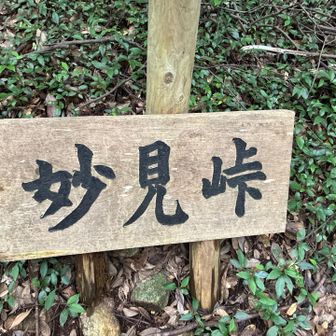 ここから鷹の巣山へ