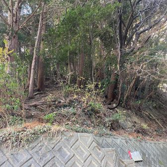 最後の山
帆掛山へ