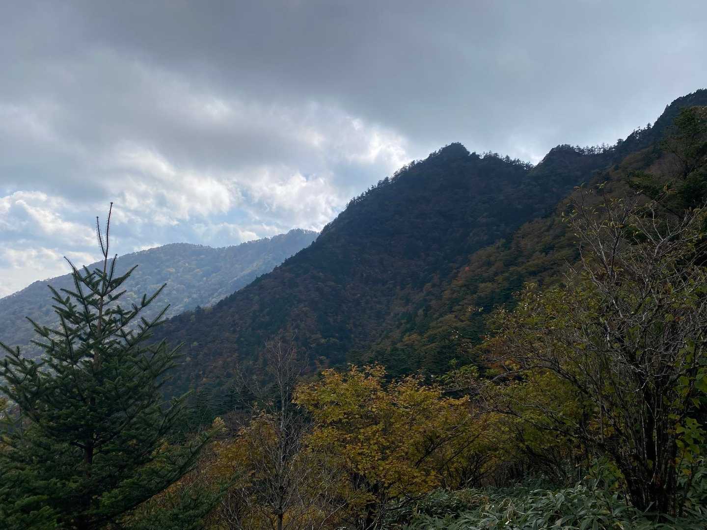 青空だったのに雲行きあやしくなってきたがな💦