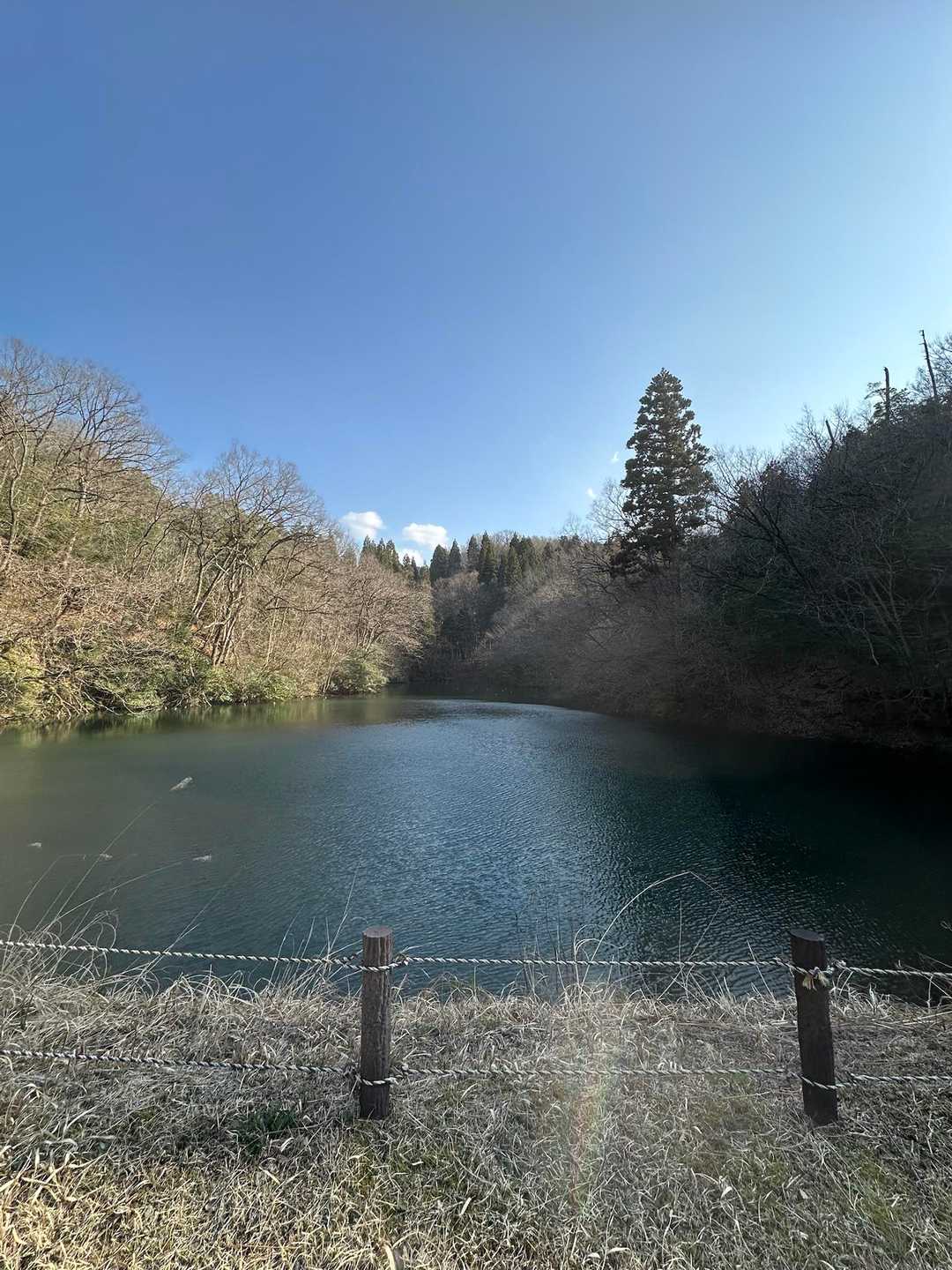 鵯山-天狗山 周回コースの写真