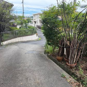 下りてきました😄
杖を返して、ヤオヒコの方へ行きます⭐️
