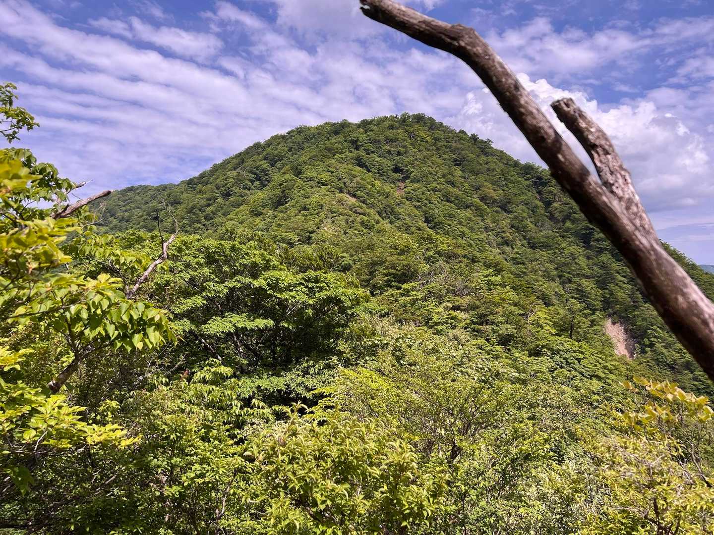 加入道山-大室山 往復コースの写真