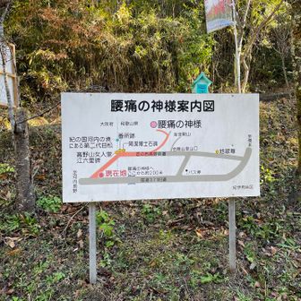 なんと腰痛の神様がいるじゃないか！
でも腰痛持ちはこれ以上登れません💦