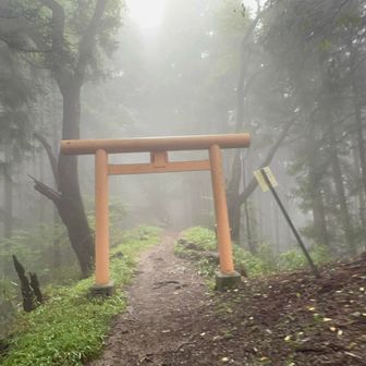 鳥居くぐって日の出山へ。