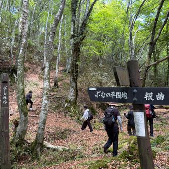 やっと降りたと思ったらまた登りです🫥