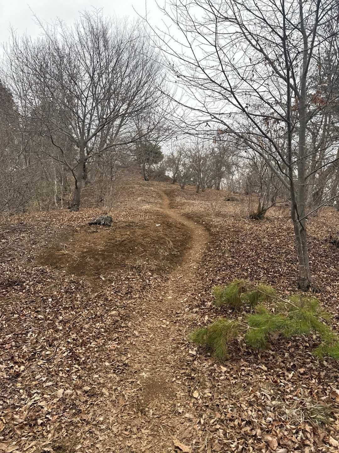 最終目的地　要害山までもう少し。