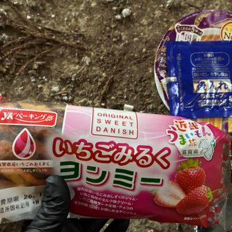 サンミーシリーズのいちごみるくヨンミー。

近畿うまいもん旅シリーズの最後です。
今回は、滋賀県産苺の みおしずく。
(年末に買ってたパンなので、何気に期限を隠してます⭐︎)

このあと、スマホを小屋に忘れたと、しばらく進んでから気付いて、戻ってきました💦
見当たらず、結局ザックの底にあったのですが、山友らを待たしてしまう。
寒いのにゴメンナサイ。確認不足でした😅