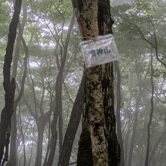 見つけにくい明神山。ここは手ぬぐいポイントではないです。以前、私はここをポイントと勘違いし、湯船山で折り返してしまい、手ぬぐいGETならずということがありました。