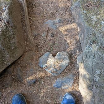 ハートだ！とはしゃく中年男性