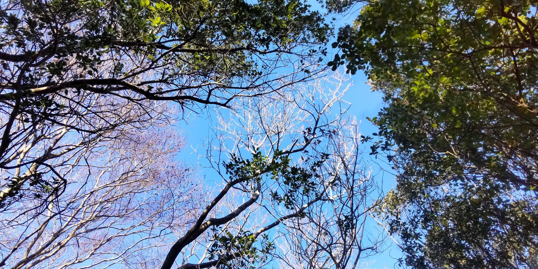 青空～