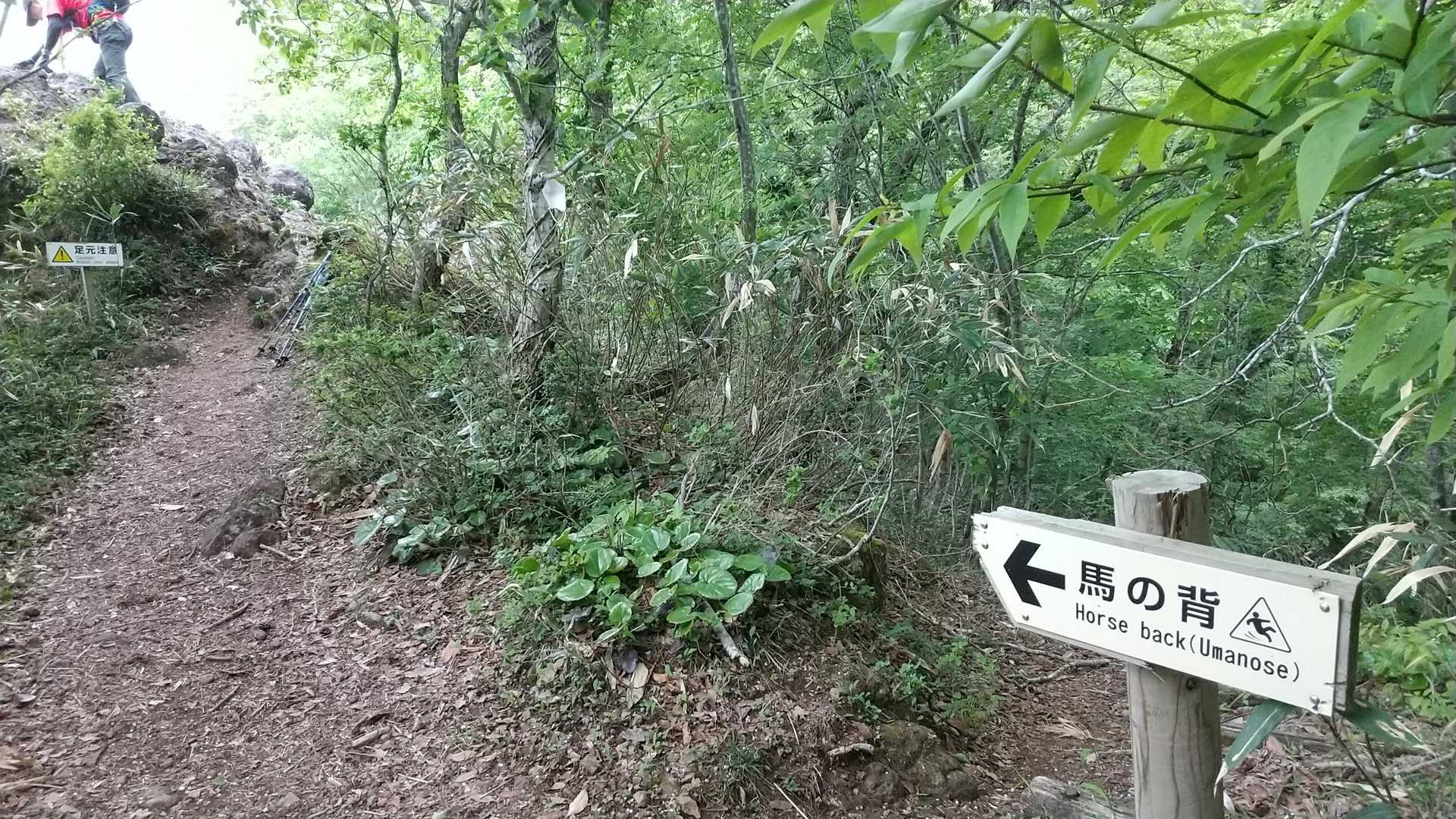 馬の背