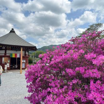 9番　明智寺