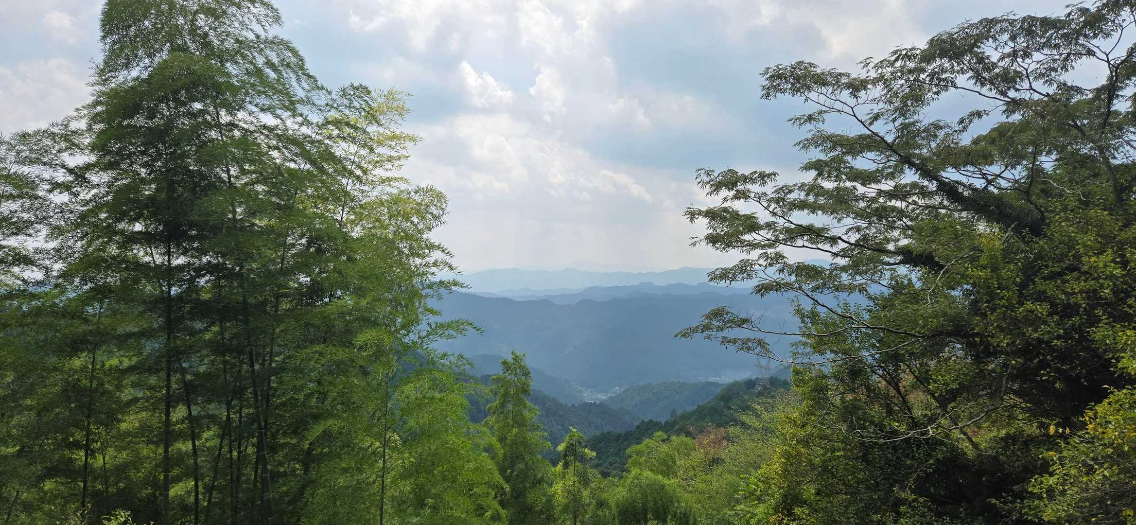 太平山-顔振峠 周回コースの写真