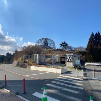 六甲枝垂れ。今日はこっから見るだけ